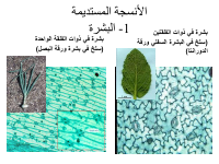 sec 4.pdf